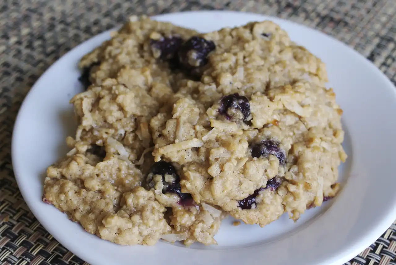 Coconut Blueberry Oatmeal Cookies