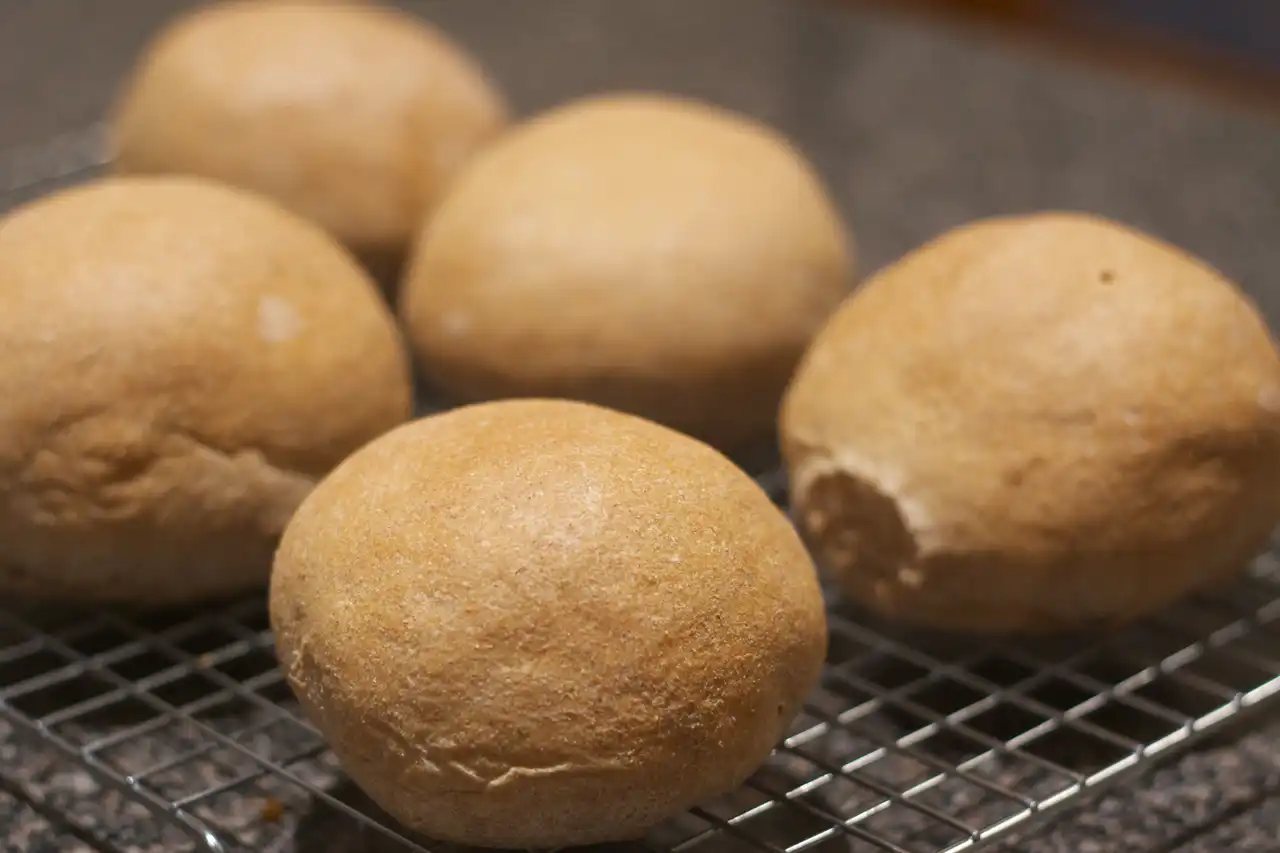 Whole Wheat Hamburger Buns